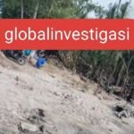 IMG-20260422-WA0133(1)