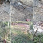IMG-20260618-WA0079